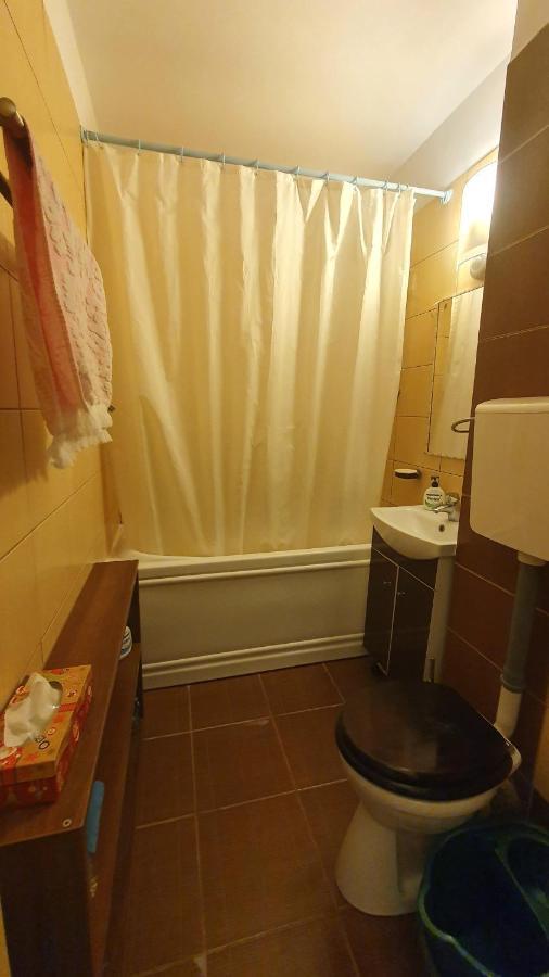 Studio Prisaca Dornei Букурещ Екстериор снимка